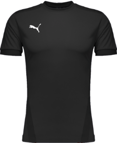 teamGOAL 23 Jersey Herren