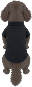 Hunde T-Shirt mit eigenem Namen personalisieren lassen