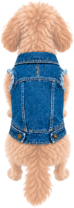 Hundejacke bedrucken: Denim Jeansjacke für Hunde gestalten