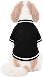 Hunde Collegejacke mit eigenem Design bedrucken